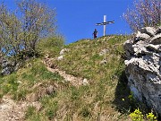 Monte Barro ad anello ‘fiorito’ da Galbiate-17apr23 - FOTOGALLERY